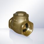 Non Return Valves