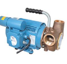 Jabsco 4000LPH Mains Power Utility Impeller Pump - 230 Volt - 38mm BSP Ports - For Waste Tank Pump Out - 53080-2063 (J40-144)