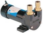 Transfer Pumps 24 Volt
