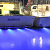 Aqualuma 6 Series Gen 4 LED Underwater Light - BLUE - Thru-Hull (AQL6BG4) - Image 4