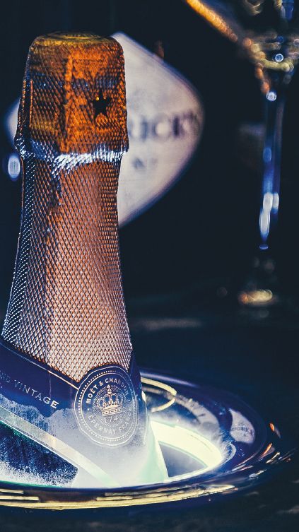 Isotherm DIVINO The ONE - Serve Great Wine or Champagne - Elegant Integrated Design with Jacket of Cold Air - No More Wet Bottles and Water Stains